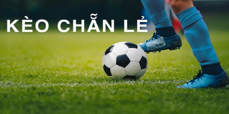 Các loại kèo chẵn lẻ phổ biến